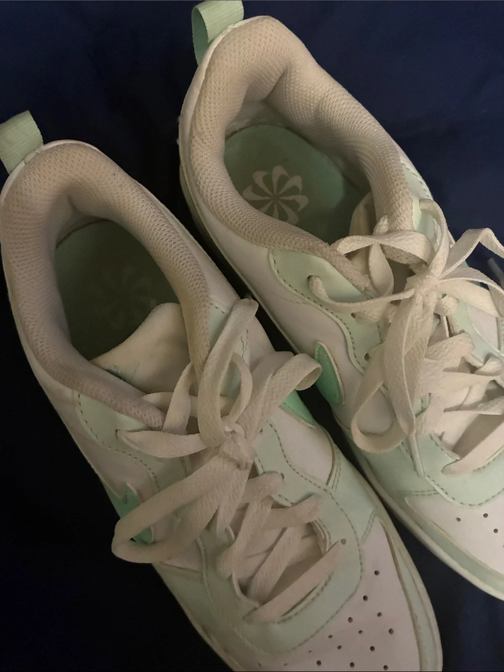 Nike Women’s Low-Top Sneakers in Mint Green and White
